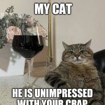 My Cat is unimpressed with your crap | MY CAT; HE IS UNIMPRESSED WITH YOUR CRAP | image tagged in cat with wine,cat,wine,unimpressed,bored | made w/ Imgflip meme maker