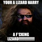 You're a wizard harry | YOUR A LIZARD HARRY; A F*CKING LIZARD!!!!!!!!!!!!!! | image tagged in you're a wizard harry | made w/ Imgflip meme maker