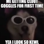 Clout doggie meme