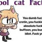 cool cat facts