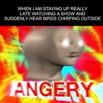 Looks like I can’t continue my binge-watching :( | WHEN I AM STAYING UP REALLY LATE WATCHING A SHOW AND SUDDENLY HEAR BIRDS CHIRPING OUTSIDE | image tagged in surreal angery,memes,funny,relatable memes,relatable,lmao | made w/ Imgflip meme maker
