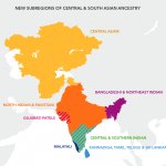 Central and South Asian ancestry
