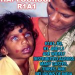 >muh haplogroup r1a1; R1a1, R2, H1, and L1 are widely distributed across many castes, tribes, and religions of India | >MUH HAPLOGROUP
R1A1; R1A1, R2, H1, AND L1 ARE WIDELY DISTRIBUTED ACROSS MANY CASTES, TRIBES, AND RELIGIONS OF INDIA | image tagged in muh haplogroup r1a1 | made w/ Imgflip meme maker