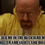 5 year old me mixing in the backyard | 5 YEAR OLD ME IN THE BACKYARD MIXING DIRT WITH WATER AND LEAVES AND DEAD INSECTS | image tagged in gifs,walter,white,mixing,beaking,bad | made w/ Imgflip video-to-gif maker