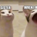 My siblings when they get hurt | WHEN I HURT HER; MY SISTER | image tagged in my siblings when they get hurt | made w/ Imgflip meme maker
