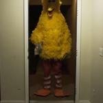 BIG BIRD KICKING DOWN DOOR template