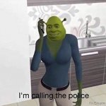 Shrek Mom calling the police