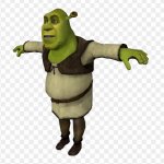 T- pose shrek