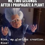 Rise my glorious creation | ME, TWO SECONDS AFTER I PROPAGATE A PLANT | image tagged in rise my glorious creation,relatable,plants | made w/ Imgflip meme maker