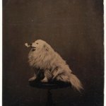 Dog with pipe 1875 meme