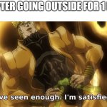 I've seen enough i'm satisfied. | ME AFTER GOING OUTSIDE FOR 1 HOUR | image tagged in i've seen enough i'm satisfied | made w/ Imgflip meme maker