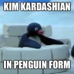 Pingu sees that ass | KIM KARDASHIAN; IN PENGUIN FORM | image tagged in pingu sees that ass | made w/ Imgflip meme maker