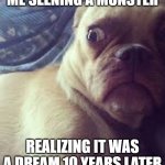 DOGGY MONSTERS | ME SEENING A MONSTER; REALIZING IT WAS A DREAM 10 YEARS LATER | image tagged in doggy,weird stuff | made w/ Imgflip meme maker