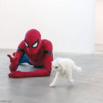 Spiderman vs Half cat | image tagged in half cat vs spiderman | made w/ Imgflip meme maker