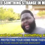 HOL' UP, WAIT A MINUTE | WHEN I SEE SOMTHING STRANGE IN MINECRAFT | image tagged in hol' up wait a minute | made w/ Imgflip meme maker