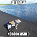 send this to someone who needs to see it | LITERALLY; NOBODY ASKED | image tagged in dog at beach | made w/ Imgflip meme maker