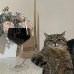 Cat with Wine