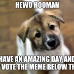 A have a good day and up vote the meme below | HEWO HOOMAN; HAVE AN AMAZING DAY AND UP VOTE THE MEME BELOW THIS | image tagged in cute dog,upvote,cute,dog,meme,meme below | made w/ Imgflip meme maker