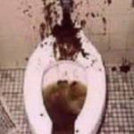 Shitty toilet meme