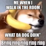 What da dog doin" | ME WHEN I WALK IN THE ROOM; WHAT DA DOG DOIN" | image tagged in what da dog doin | made w/ Imgflip meme maker