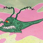 plankton