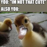 you're right....you're FREAKING ADORABLE | YOU: "IM NOT THAT CUTE"; ALSO YOU: | image tagged in cute duckling,wholesome,cute | made w/ Imgflip meme maker
