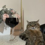 Fancy cat with glass