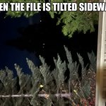 Liminal Forest | WHEN THE FILE IS TILTED SIDEWAYS | image tagged in liminal forest | made w/ Imgflip meme maker