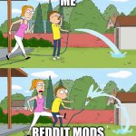 Ow, My Balls! | ME; REDDIT MODS | image tagged in rick and morty summer low blow | made w/ Imgflip meme maker