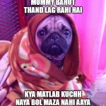 thandi | MUMMY BAHUT THAND LAG RAHI HAI; KYA MATLAB KUCHH NAYA BOL MAZA NAHI AAYA | image tagged in feeling cold dog | made w/ Imgflip meme maker