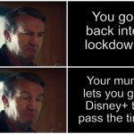 Not all bad | You go back into lockdown; Your mum lets you get Disney+ to pass the time | image tagged in good bad doctor who | made w/ Imgflip meme maker