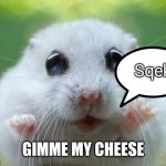 Hamster cute | Sqek; GIMME MY CHEESE | image tagged in hamster cute | made w/ Imgflip meme maker