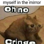 Anyone else relate? | Me looking at myself in the mirror | image tagged in oh no cringe,memes,funny,sad,relatable | made w/ Imgflip meme maker