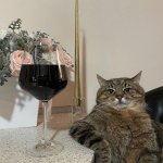 Wine Cat