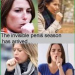 The invisible penis season