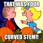 Great pumpkin | THAT WAS YOUR; CURVED STEM!! | image tagged in great pumpkin | made w/ Imgflip meme maker