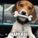 He happ as hecc | HAPP BOI | image tagged in cute puppy | made w/ Imgflip meme maker