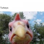 Thanks giving is here! | People: Oh boy, November! Can't wait for Thanksgiving! Turkeys: | image tagged in turkey,thanksgiving,november | made w/ Imgflip meme maker