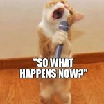 Cat Singer | ME EVERY TIME WE MOVE ON TO A NEW SONG "SO WHAT HAPPENS NOW?" | image tagged in cat singer | made w/ Imgflip meme maker