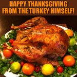 Happy Thanksgiving everyone! Hope you have a great one! | HAPPY THANKSGIVING FROM THE TURKEY HIMSELF! | image tagged in roasted turkey,memes,funny,turkey,thanksgiving,lmao | made w/ Imgflip meme maker
