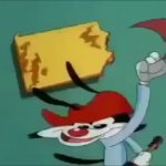 Wakko Frame