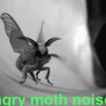 Angry Moth Noises