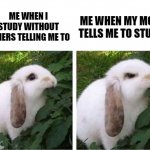 angry rabbit | ME WHEN MY MOM TELLS ME TO STUDY; ME WHEN I STUDY WITHOUT OTHERS TELLING ME TO | image tagged in angry rabbit,memes,studying | made w/ Imgflip meme maker