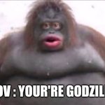 MONKE | POV : YOUR'RE GODZILLA | image tagged in monke | made w/ Imgflip meme maker