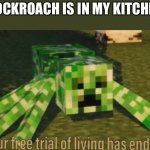 Boi Boi | COCKROACH IS IN MY KITCHEN | image tagged in your free trial of living has ended | made w/ Imgflip meme maker
