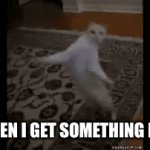 Cat | ME WHEN I GET SOMETHING I WANT | image tagged in gifs,dance | made w/ Imgflip video-to-gif maker