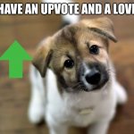 Cute dog | WAIT! HAVE AN UPVOTE AND A LOVELY DAY. | image tagged in cute dog,wholesome,dogs,upvote,have an upvote,cute puppies | made w/ Imgflip meme maker