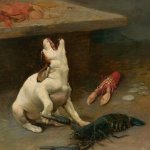 Dog snipped by lobster