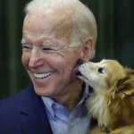 Dog licking Biden meme