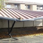 Cat on collapsed roof